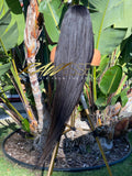 40 inch Straight Wig - RAW Hair Wig